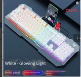 ErgoFlex Mechanical RGB Keyboard